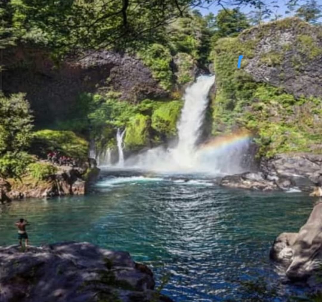 whatsapp image 2025 12 16 at 10.51.02 am