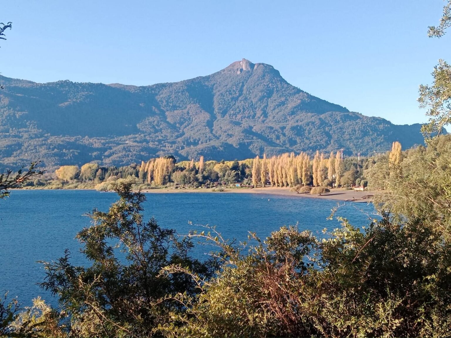 whatsapp image 2025 12 16 at 10.51.03 am