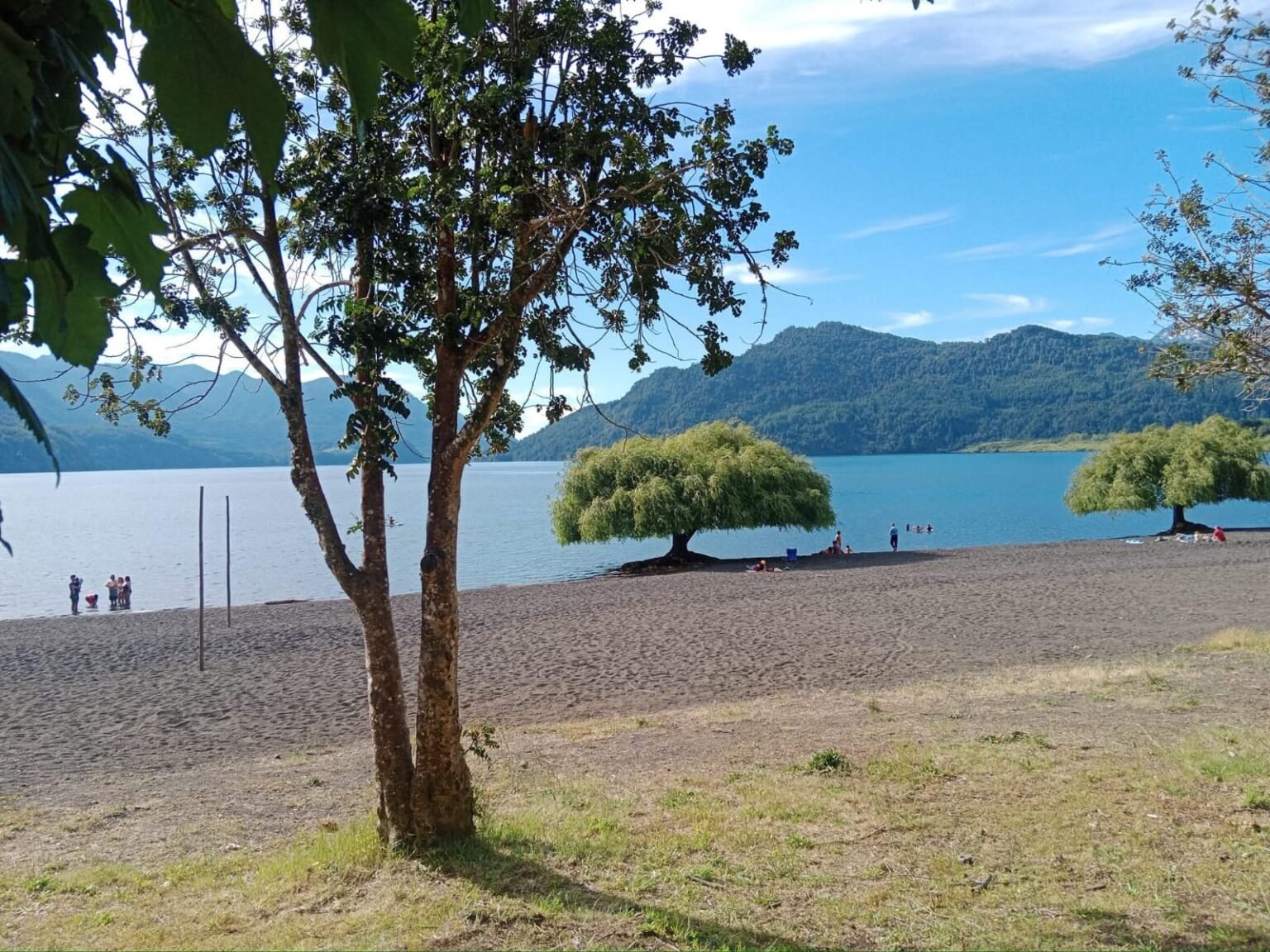 whatsapp image 2025 12 16 at 10.51.05 am