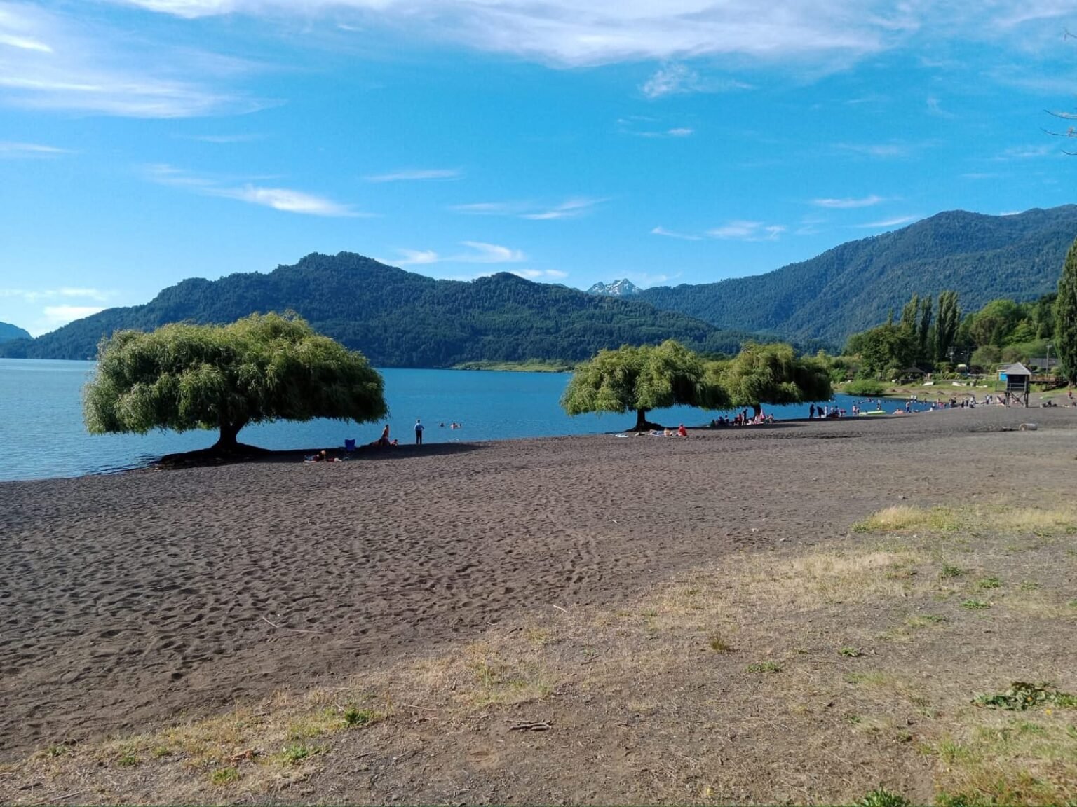 whatsapp image 2025 12 16 at 10.51.10 am (3)