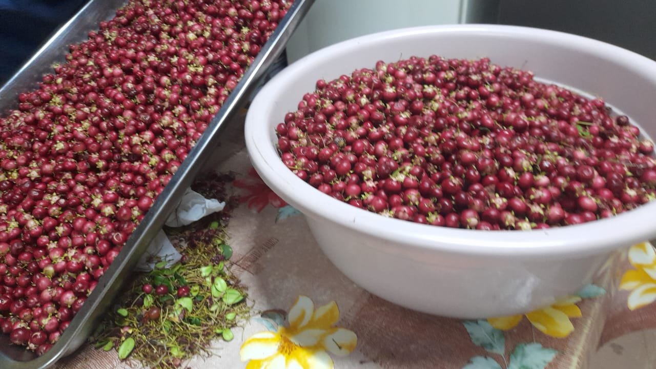 whatsapp image 2025 12 20 at 7.02.30 pm (1)