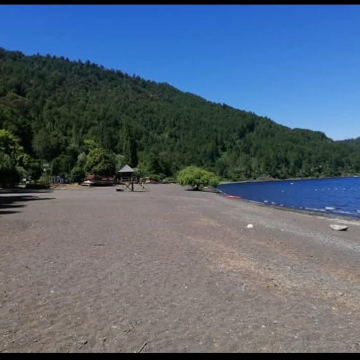 whatsapp image 2025 12 21 at 1.36.55 pm